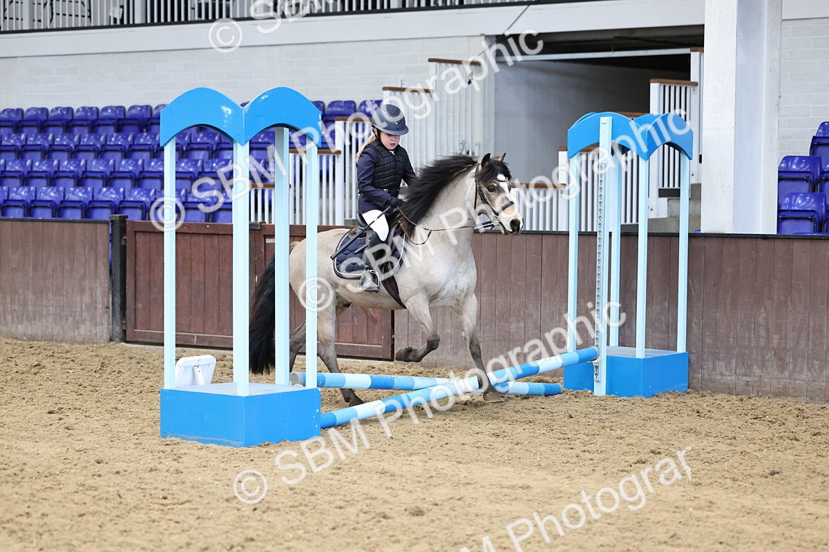 SBM_007027 - Class 1 - 40cm showjumping