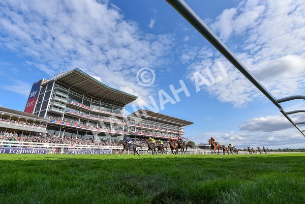 220825-Race 6-Frescobaldi-9510 - Race 6 4.45pm British Stallion Studs EBF Convivial Maiden Stakes