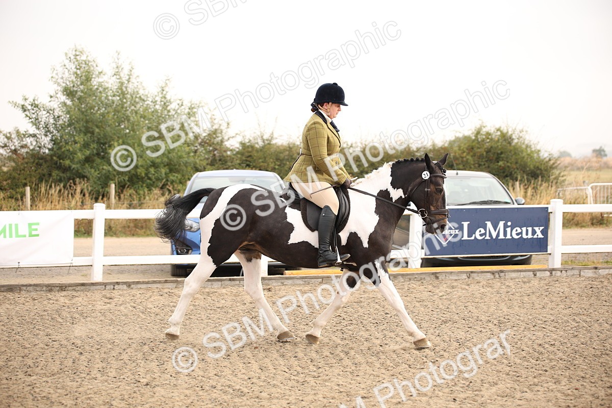 SBM_09747 - Class 401 Riding Club Pony