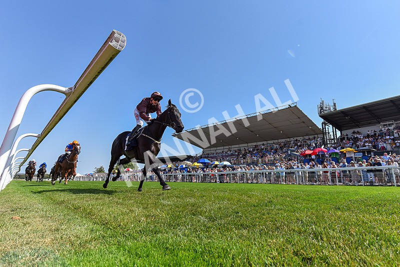 130826-Race 2-Concert Pitch-5083 - Race 2 14.45pm Welcome Racing TV Club Members Nursery Handicap