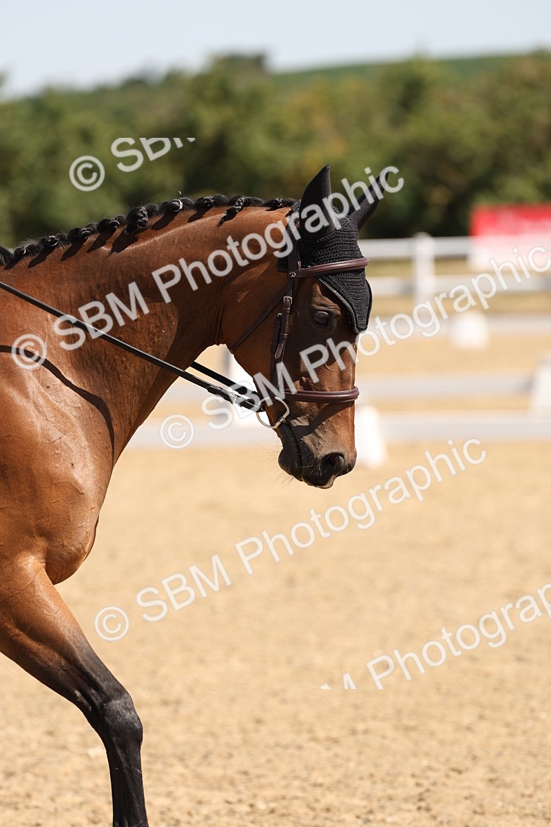 SBM_001139 - Intro 2