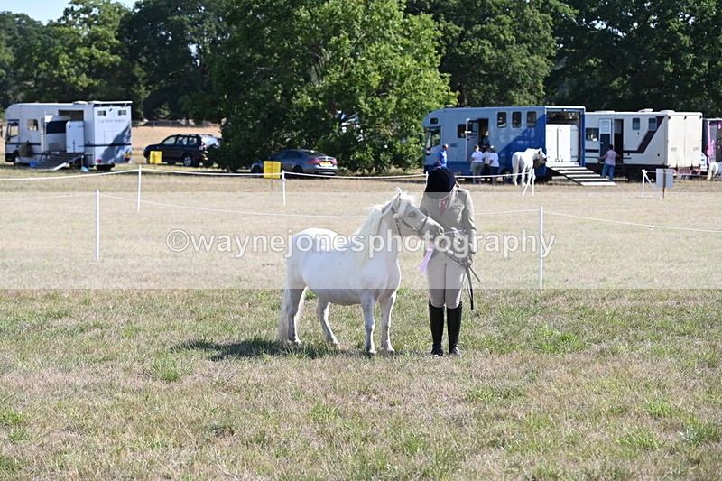WJ6_4349 - Class 16 Condition & Turn Out