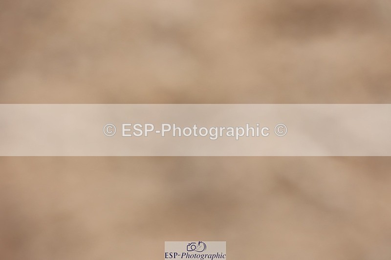 250620-114409-00773 - BD Cls 12 - Freestyle Medium