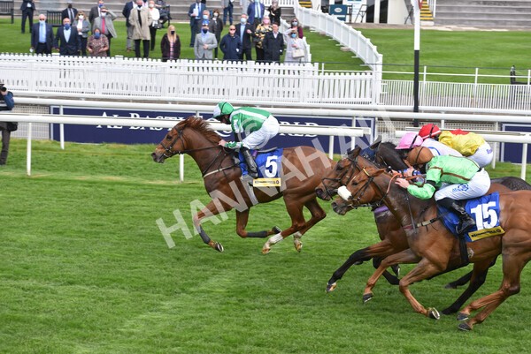 yr12052021r2-46 - Race 2 2.10pm Churchill Tyres Stakes