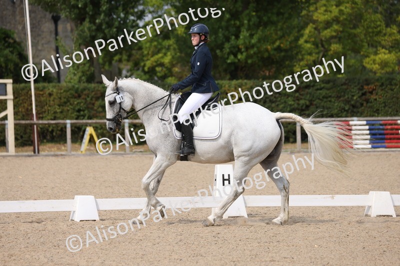 20250819-1559 - Class 5 - Novice 3