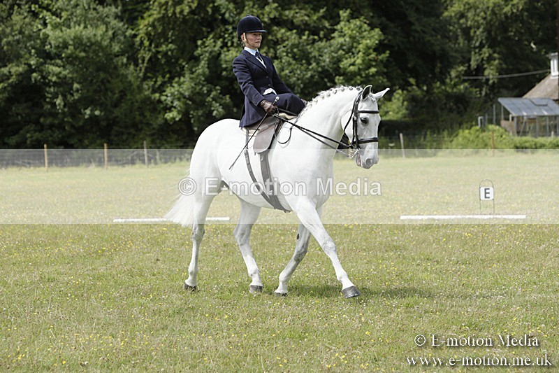 BVR160717-2053 - Class 4 & 5 Dressage 16/07/17