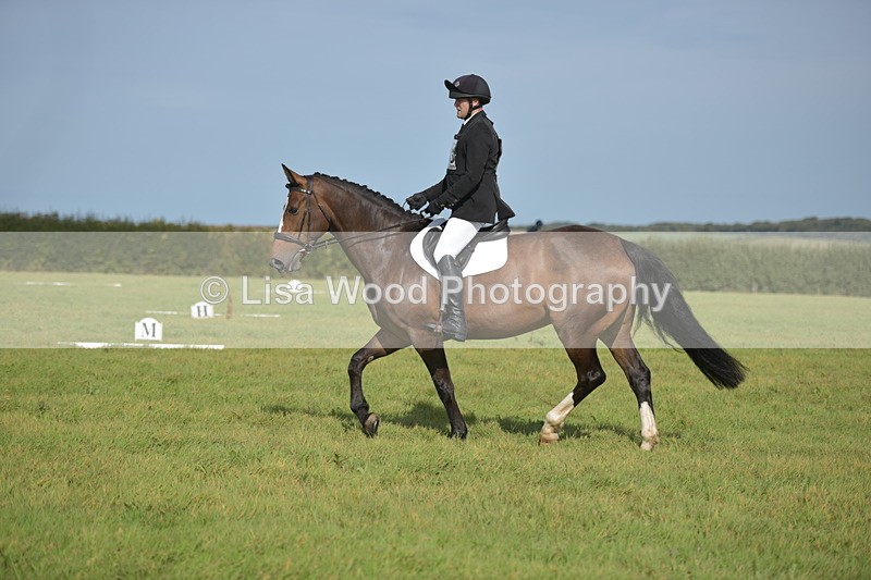 RAY_8021 - Class 2B: Trekenning Open: Dressage