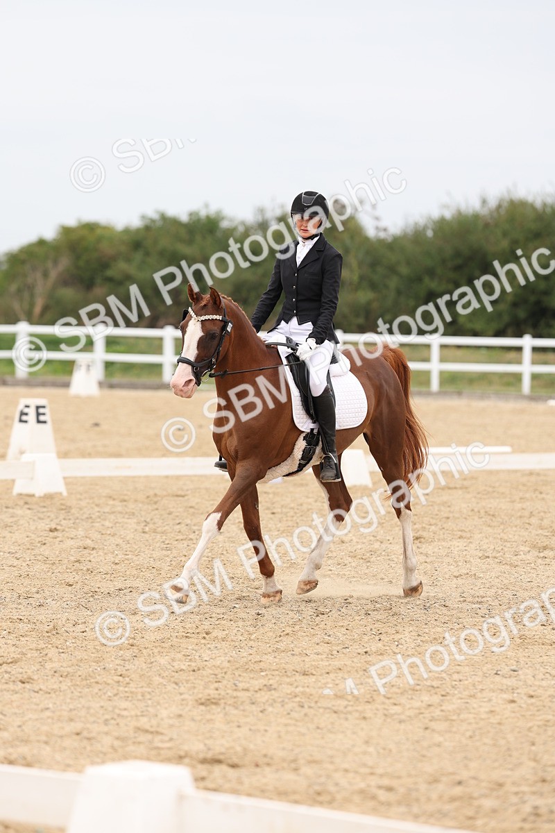 SBM_02066 - Class 8 - Novice 27 Champs