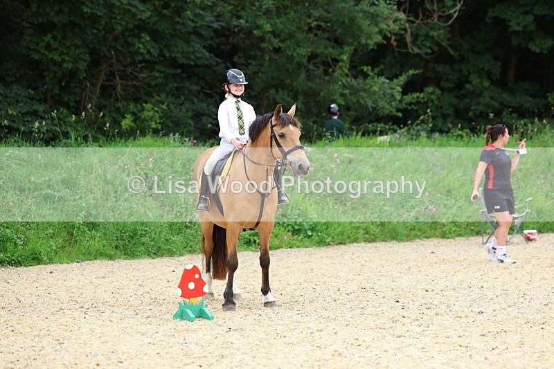 3E7A9314 - Walk trot run