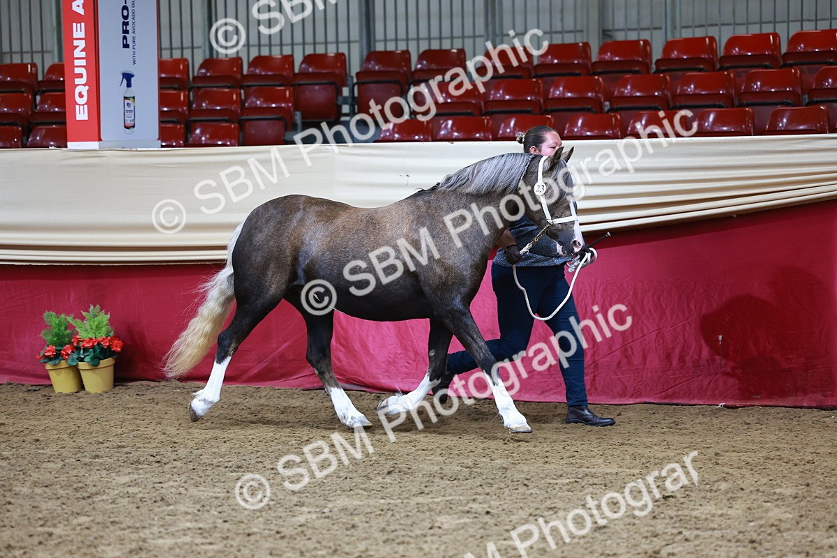 SBM_22140 - Class 902 - Supreme Final - IH Diamond