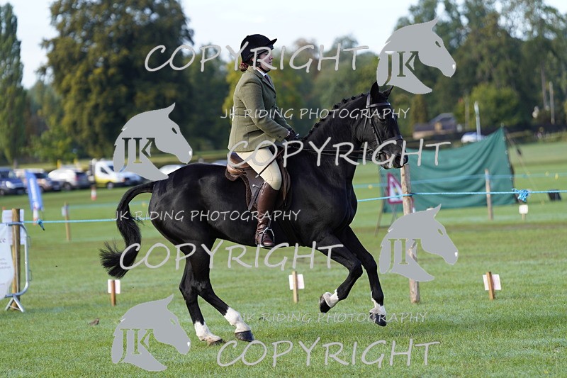 _DSC9343 - Class 8 & 17 Ridden Hunter & Ridden Hunter Pony