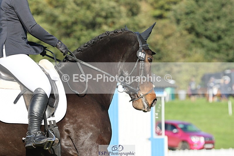 251024A-110045-07928 - D-350-Katie.Timberlake