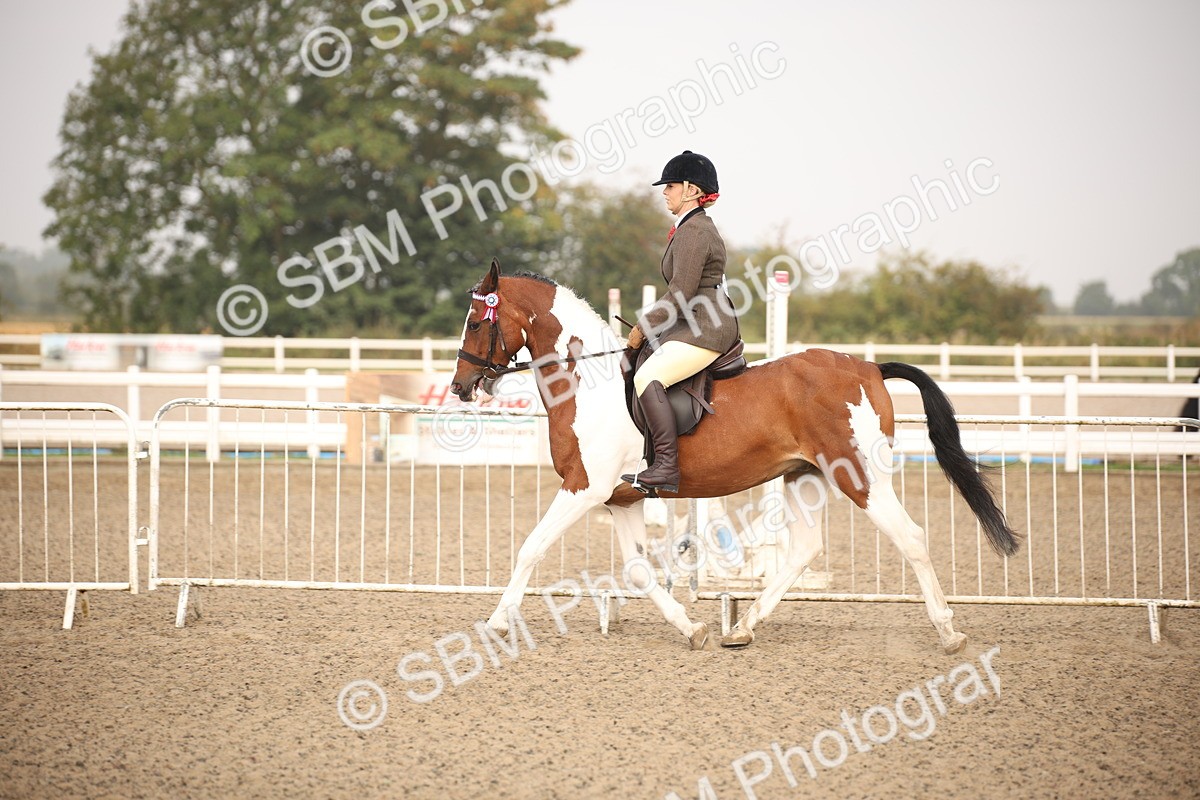 SBM_09699 - Class 401 Riding Club Pony