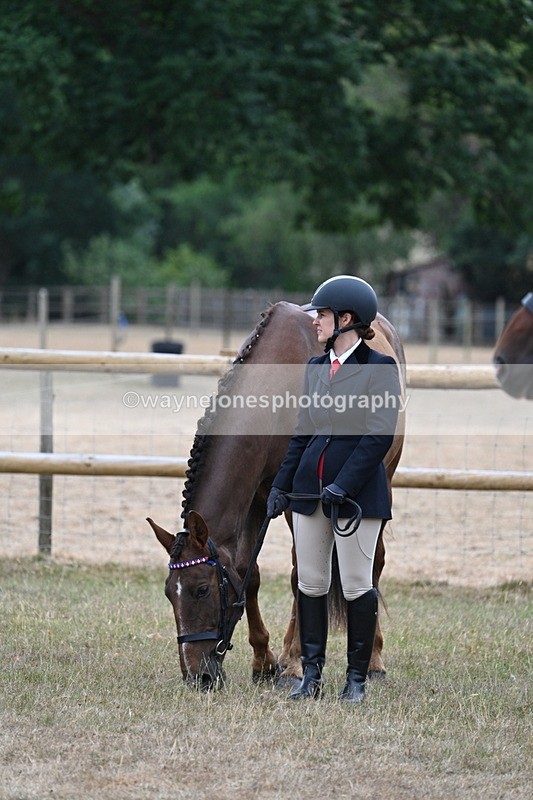WJ7_9766 - Class 5a Most Handsome Gelding (above 14.2hh)