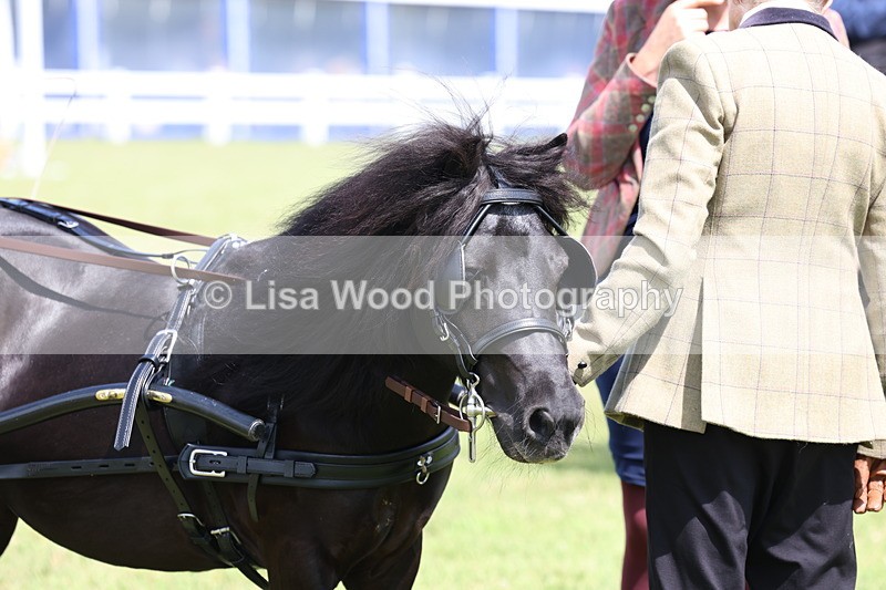 3E7A2770 - Class 12: Open Driving