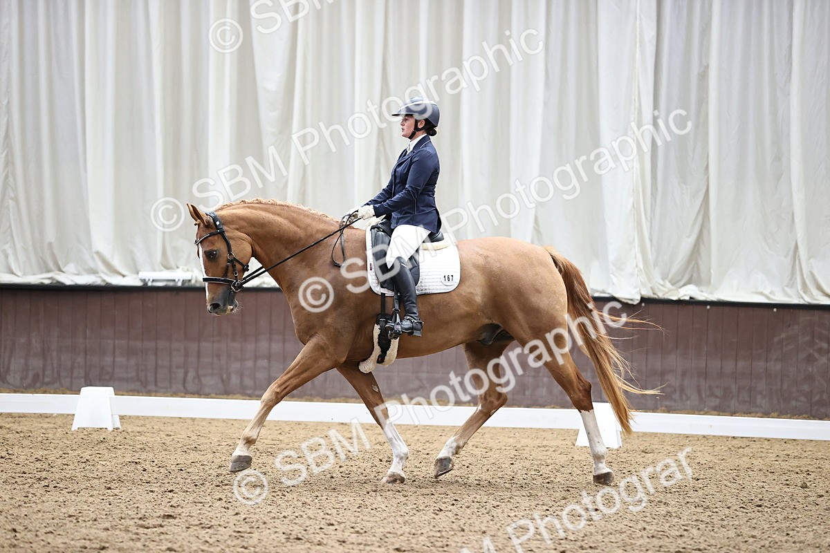 SBM_000845 - Novice 4 Warm Up