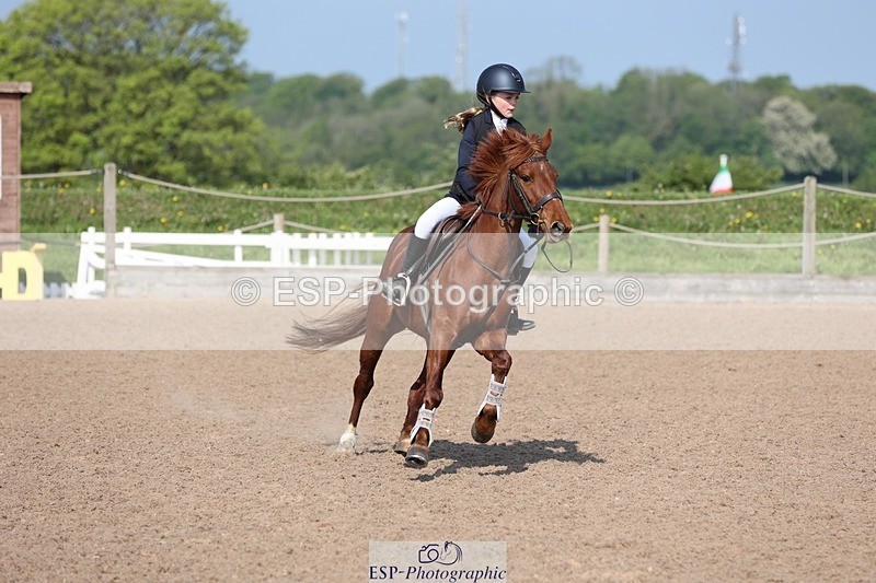 250503-095453-00177 - Cls 3 Pony British Novice and 80cm Open