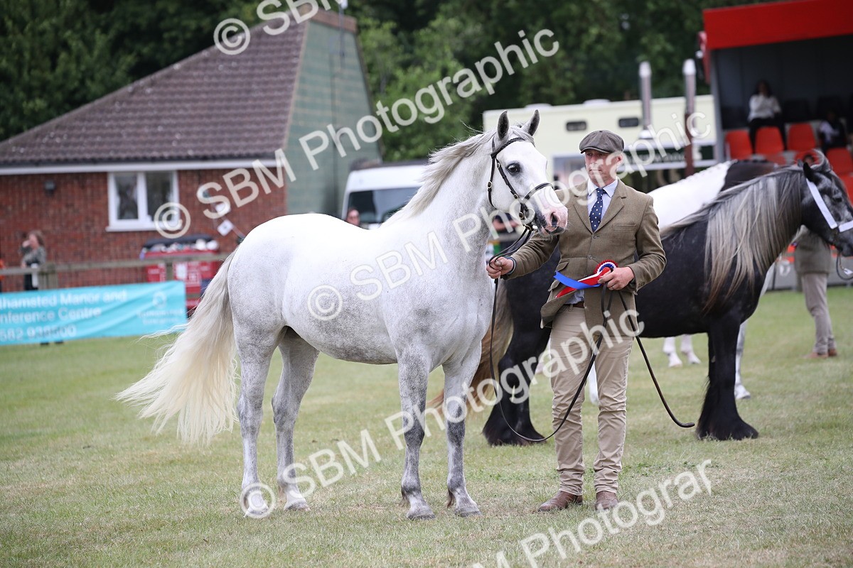 SBM_09839 - Ch 50 - Price Family Supreme In Hand