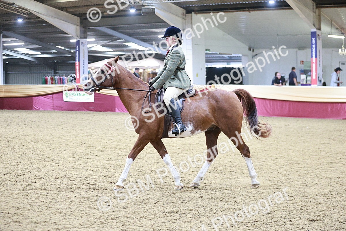 SBM_08144 - Class 11R - Regional Ridden Veteran