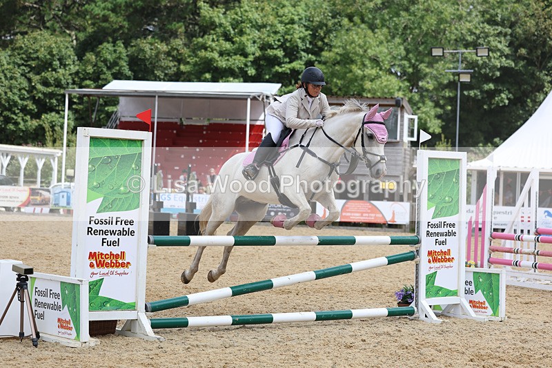 3E7A4915 - Class 4: Senior British Novice/90cm open