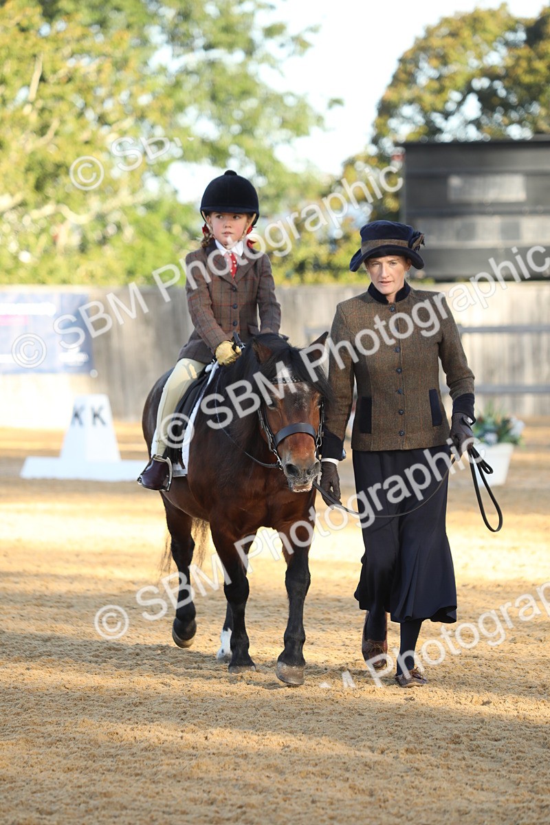 SBM_33677 - D26 - Starers - Lead Rein