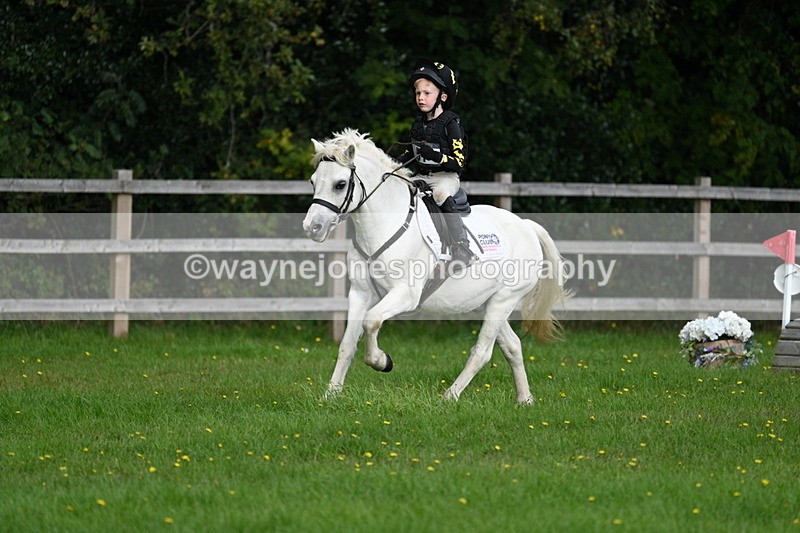 WJ7_3850 - 40cm Time 10:26 to 10:42