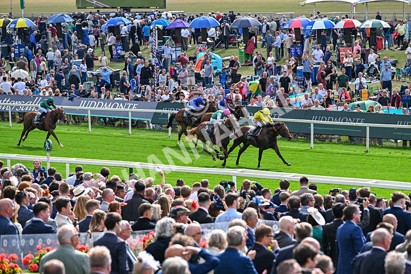 190826-Race 4-Item-1457 - Race 4 15.35pm Juddmonte International Stakes