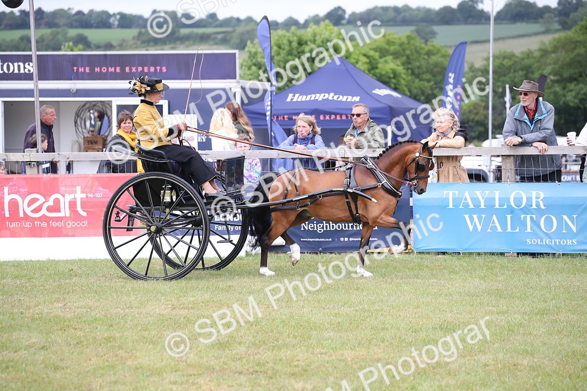 SBM_05886 - Class 12-15 - HOYS Private Driving