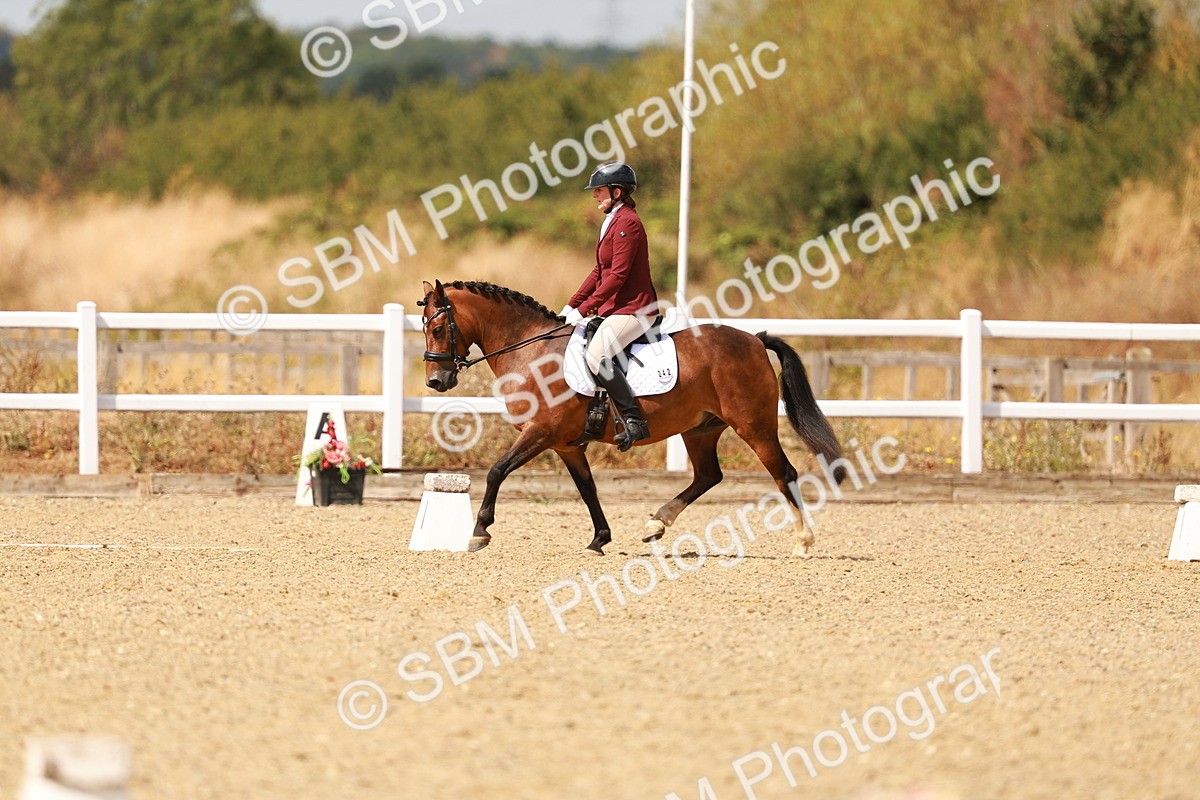 SBM_018635 - Class 9 - N5 Bronze 11.57.13.07