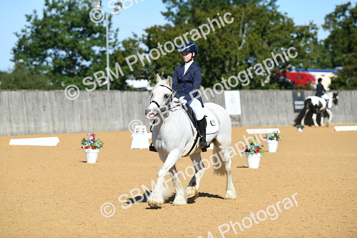 SBM_18105 - D4 - Small Tour Championship - Intro B