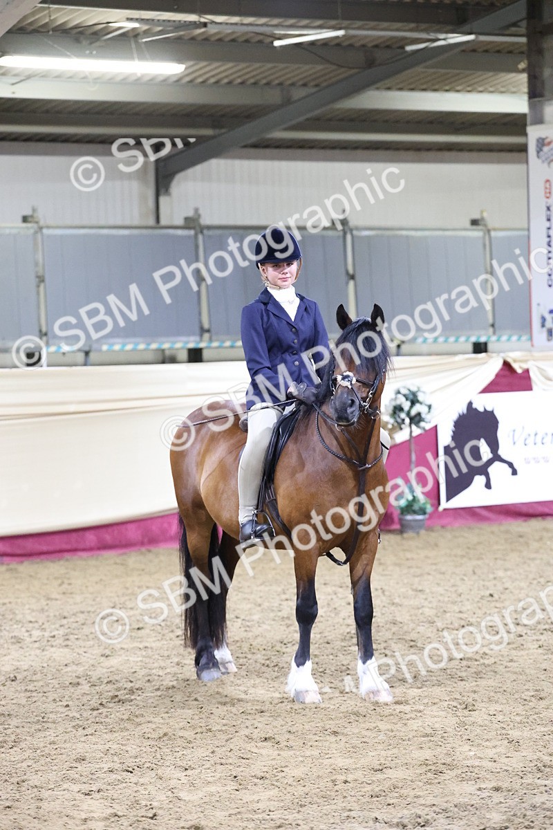 SBM_21407 - Class T - Working Veteran Champs