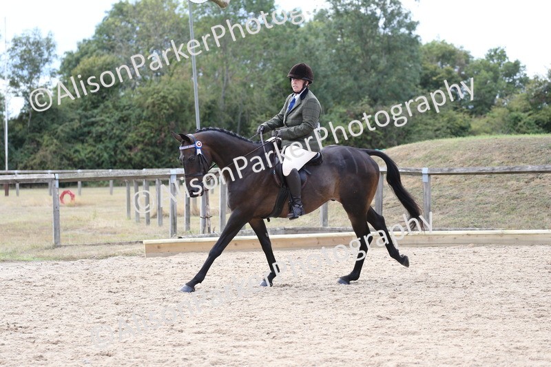 20260831-2623 - Class 15 - Ridden Retraining of Racehorses