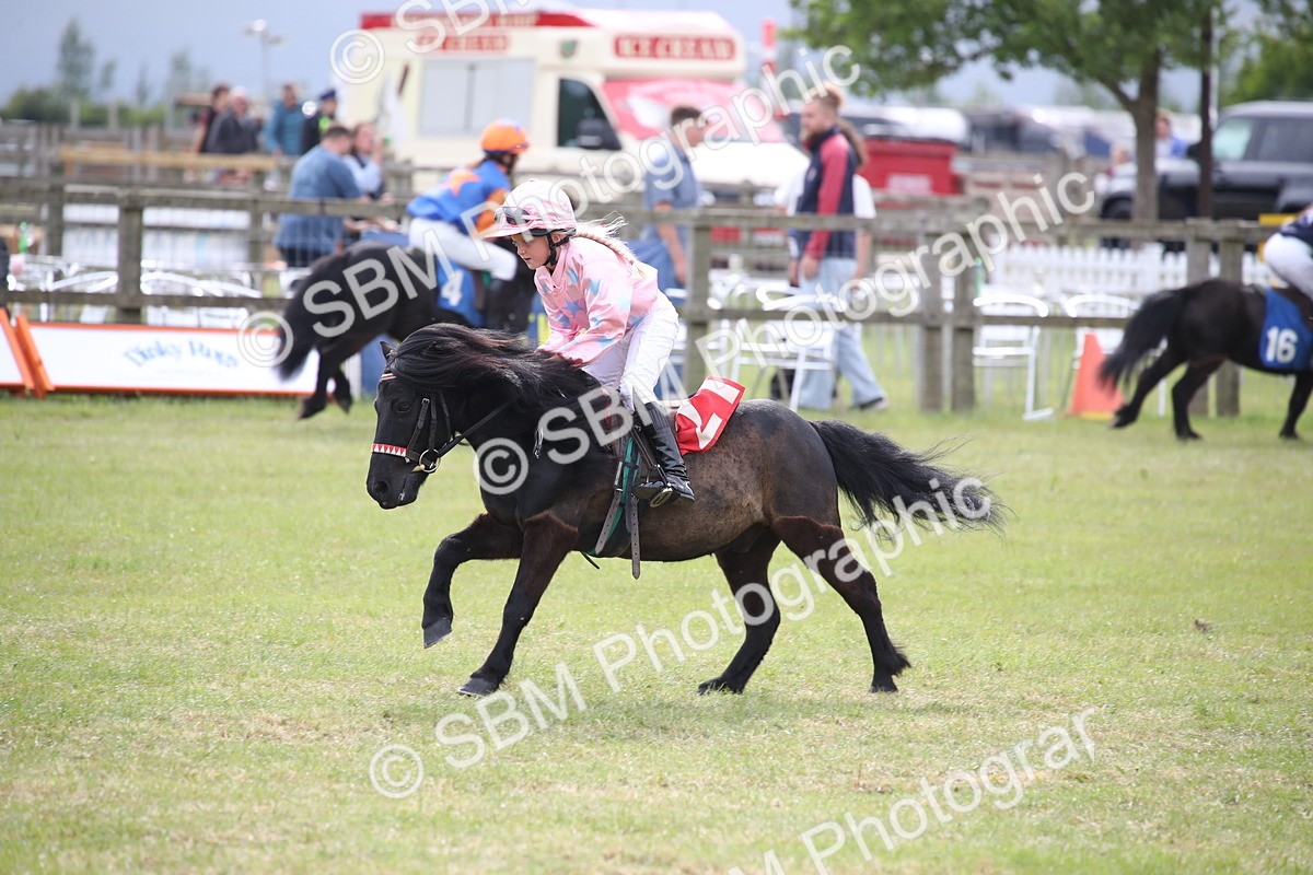 SBM_10202 - Dinky Derby