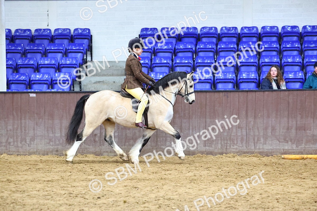 SBM_005588 - M&M Novice WHP Championship