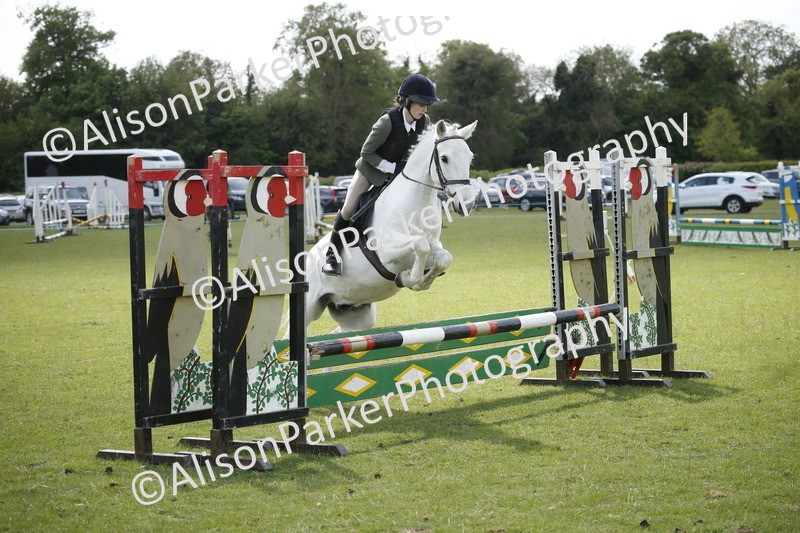 20250427-3763 - Class 14 - Absolute Novice 70cm