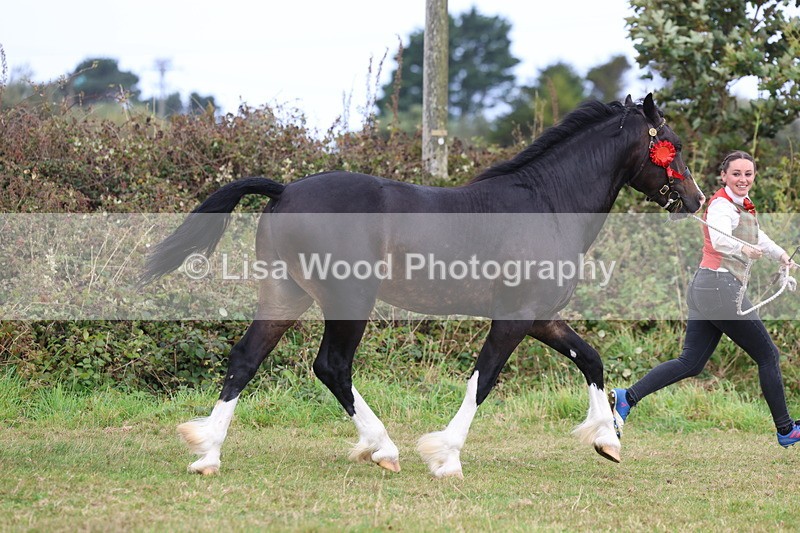 3E7A4277 - Class 15: Two Year Olds