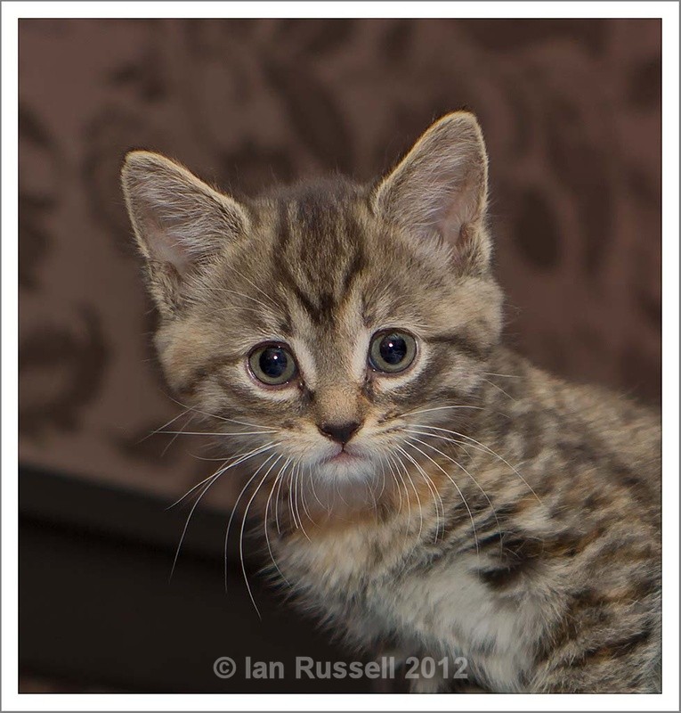 Florence - Other Images