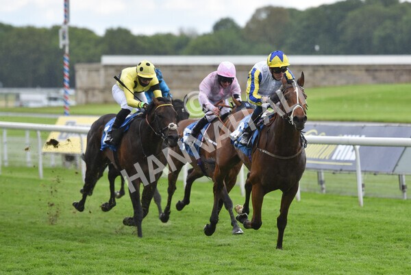 yr22052021r6-26 - Race 6 4.55pm Reg Bond