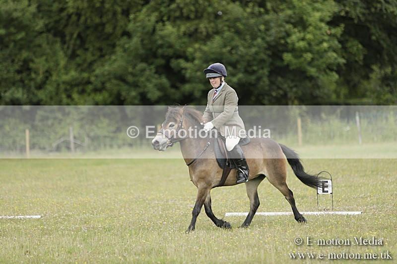 BVR160717-592 - Class 1 & 23a Dressage 16/07/17