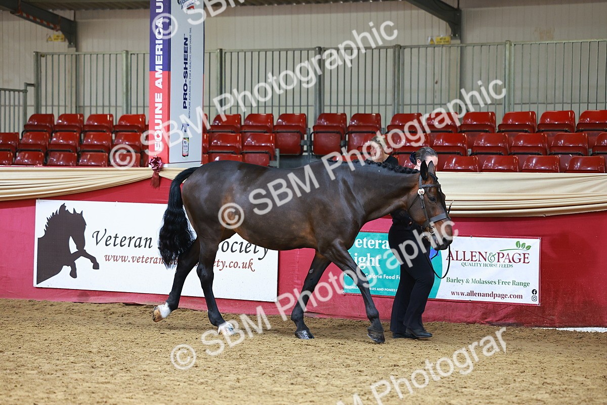 SBM_18390 - Class 903 - Sup Final - IH Pre Vet