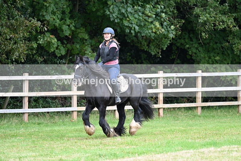 WJ7_7880 - 40cm Time 10:49 to 11:18