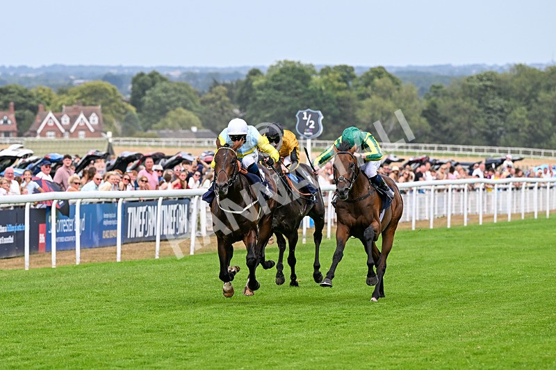 280726-Race 4-Vega King-0916 - Race 4 15.20pm 30 Years Of The Hurn Racing Club EBF Novice Stakes