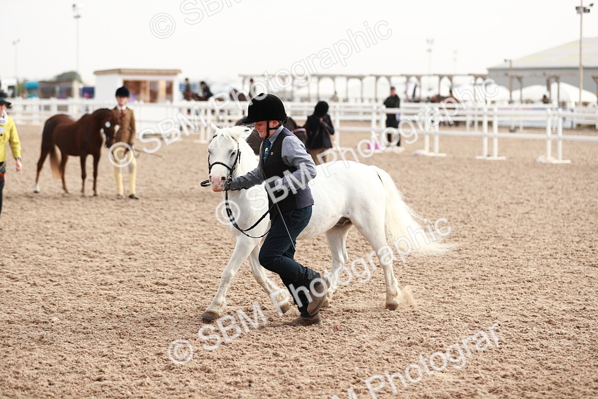 SBM_10558 - Class 204 Young Handler, 11-16 years