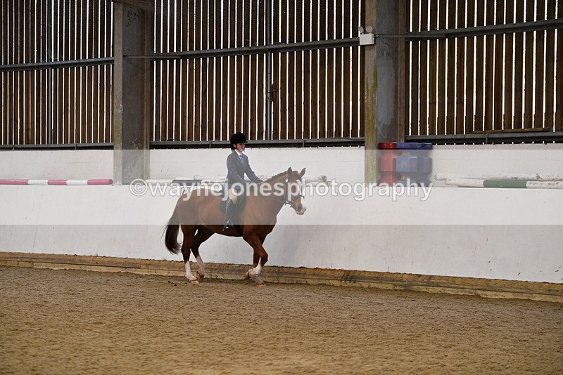 WJ5_7707 - Class 13 Ridden Part Breed