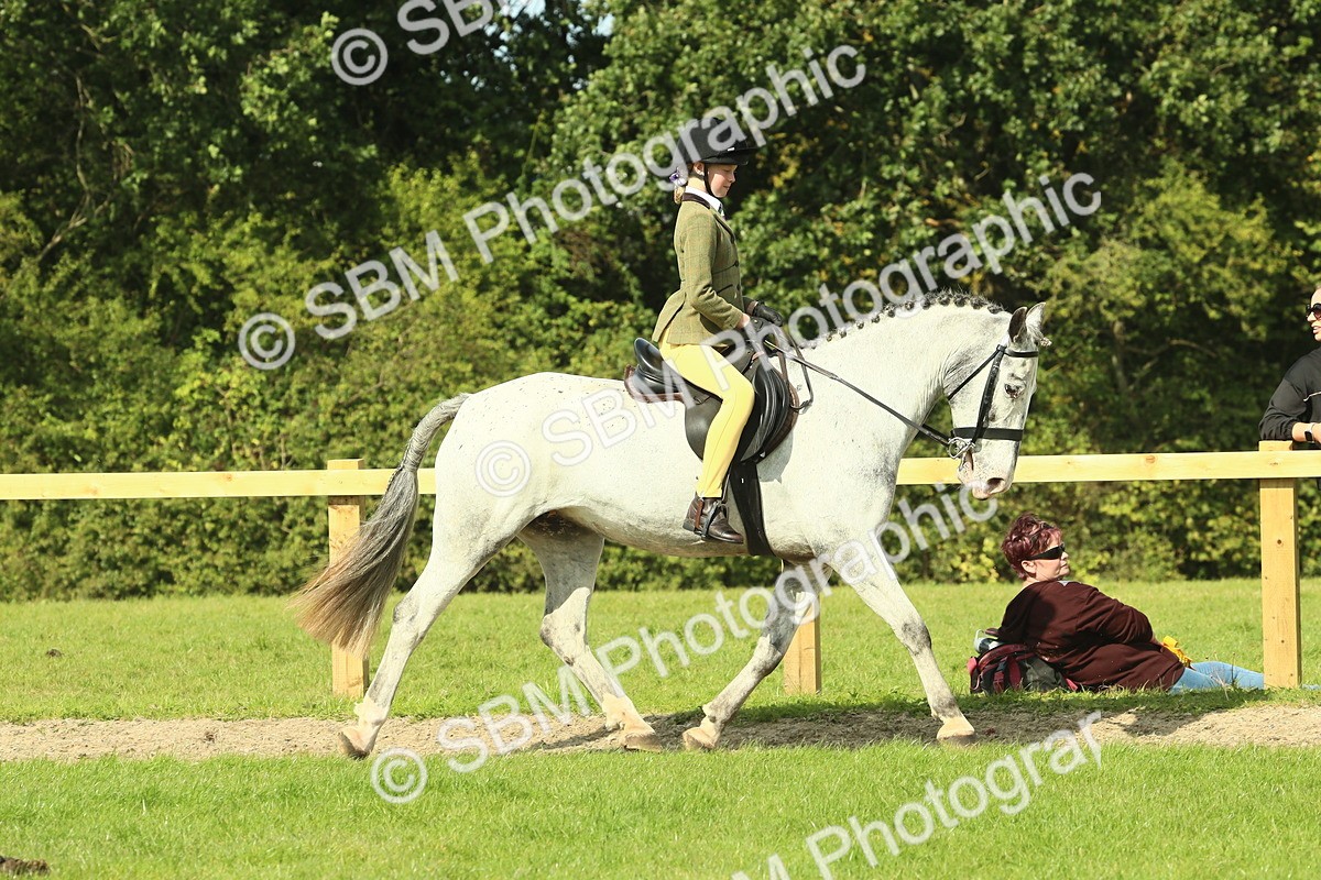 SBM_67425 - S56 - Coloured Pony Ridden