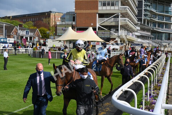 yr12052021r7-7 - Race 7 4.50 pm Conundrum HR Consulting Stakes
