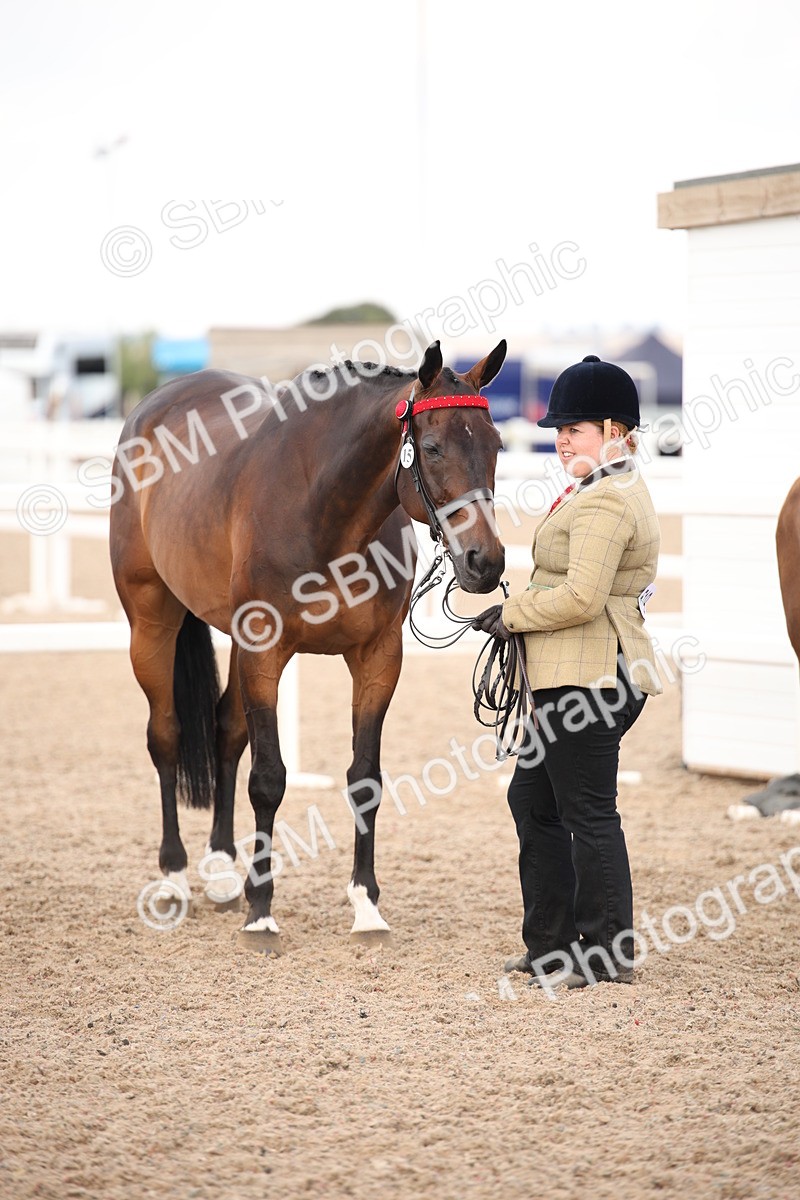 SBM_08258 - Class 27 - IH Competition Horse-Pony