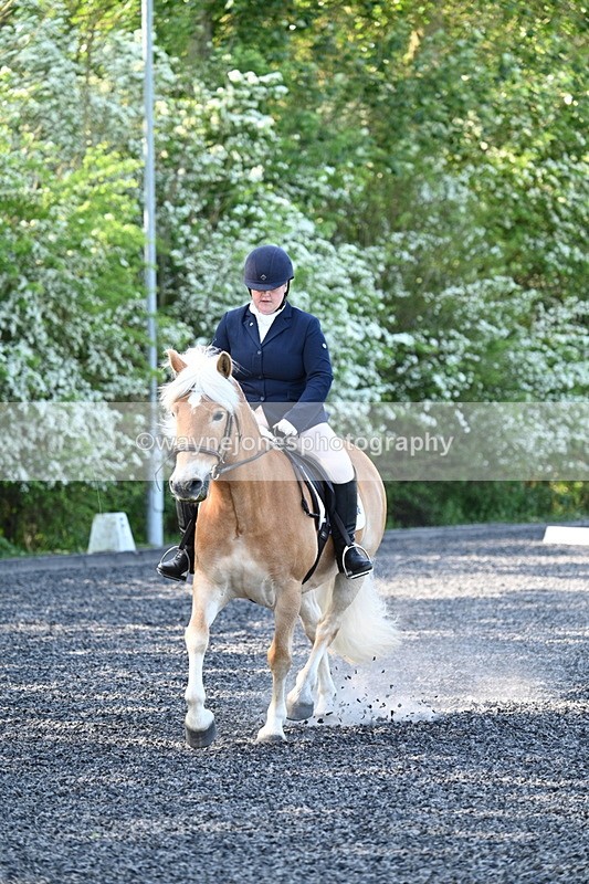 WJ7_7602 - Time 09:36 to 10:00