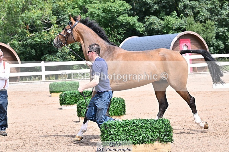 250716-124826-00178 - Trot Up 12.30 to 1.30