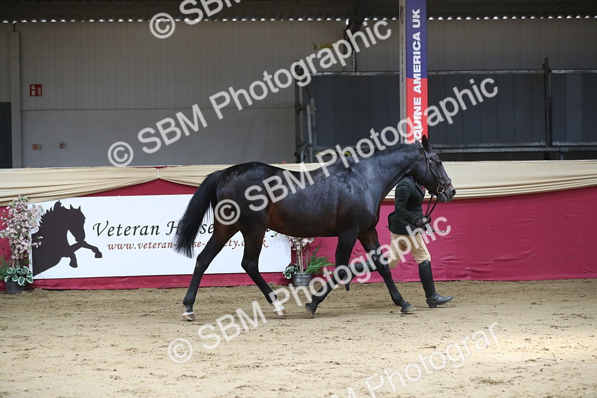 SBM_04365 - Class 7R Regional - IH Diamond